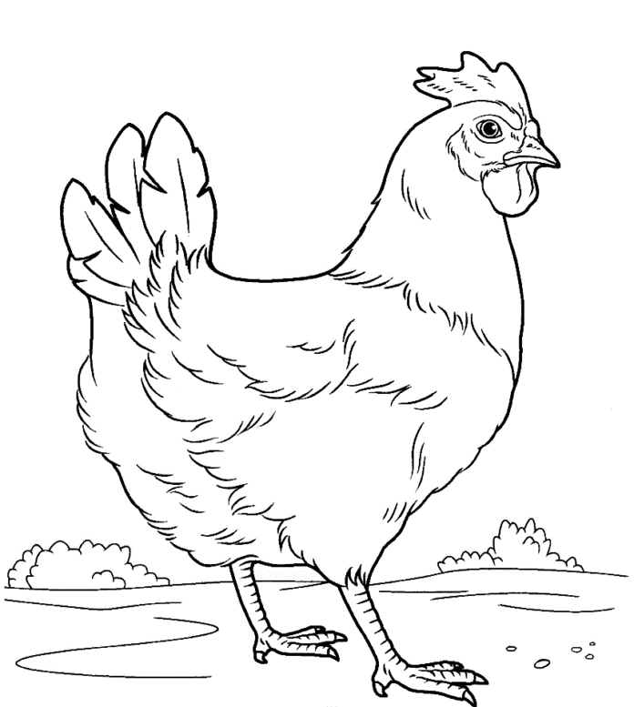 Hühnerstall-Malbuch zum Ausdrucken