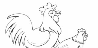 hen and rooster in the field coloring book to print