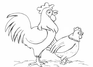hen and rooster in the field coloring book to print