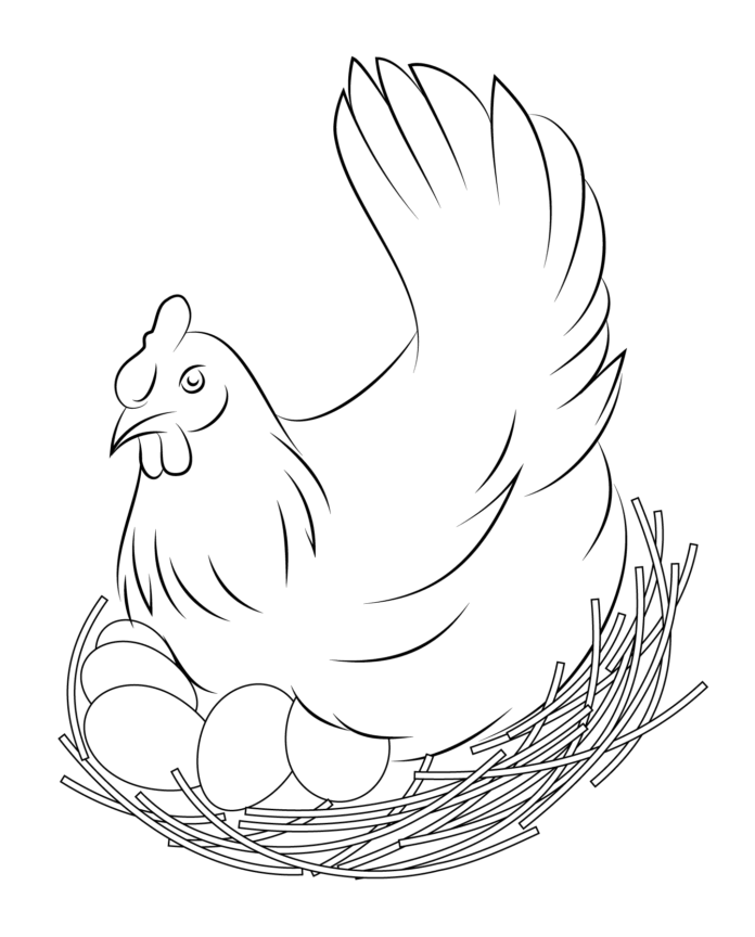 hen on eggs coloring book to print