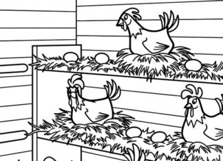 chicken in the hen house coloring book to print