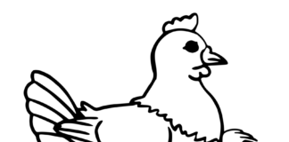 hen laying eggs coloring book to print