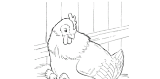 hen with chickens coloring book to print