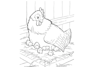 Henne mit Hühnern Malbuch zum Ausdrucken
