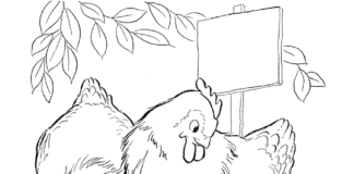 hen with chickens coloring book to print