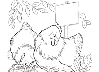 tyúk csirkékkel nyomtatható kifestőkönyv