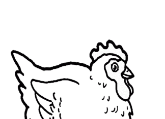 hen lays eggs coloring book to print
