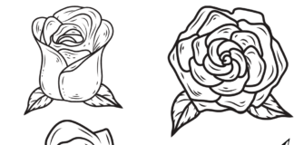 kwiaty róży czerwonej kolorowanka do drukowania