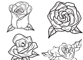kwiaty róży czerwonej kolorowanka do drukowania