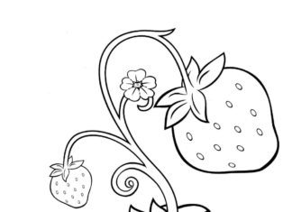 blooming strawberries coloring book to print