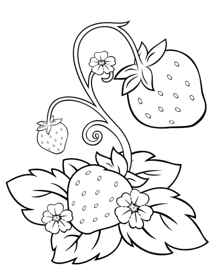 blooming strawberries coloring book to print