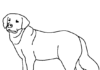 labrador polite dog coloring book to print