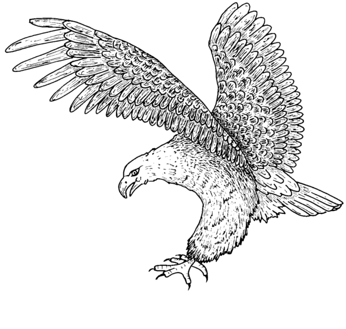 page de coloriage à imprimer sur le vol du faucon au nid