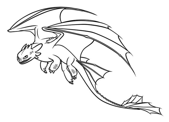 livre de coloriage "dragon volant" à imprimer