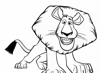 leone alex per bambini libro da colorare da stampare