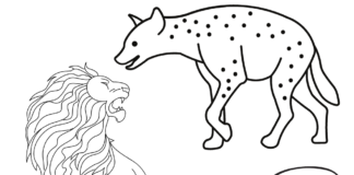 leijona ja hyeena aavikolla tulostettava värityskirja
