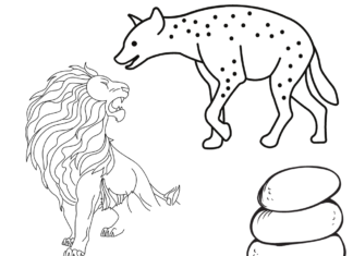 oroszlán és hiéna a sivatagban nyomtatható kifestőkönyv