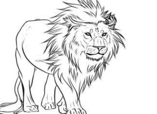 lejon med lång mane målarbok att skriva ut