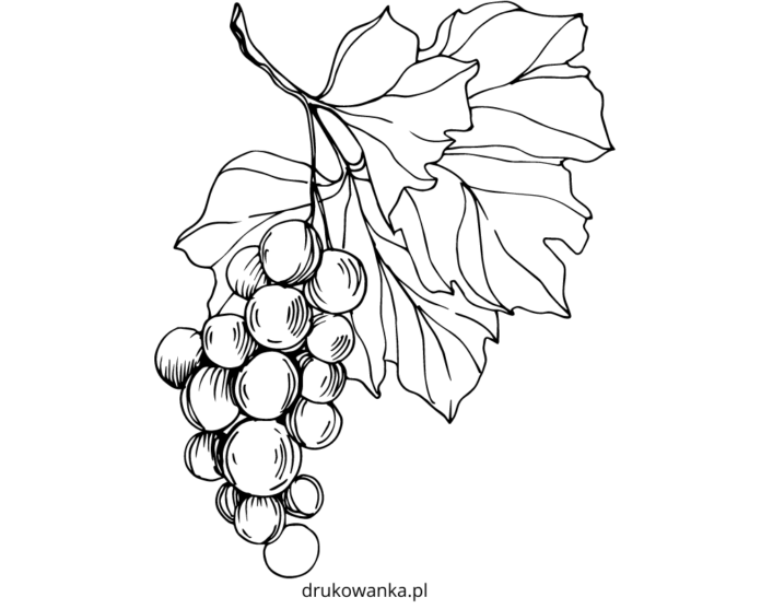 grape leaf coloring book to print