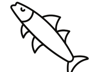 Makrela jednoduché kreslenie omaľovánky k vytlačeniu