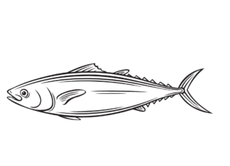 mackerel sea fish coloring book to print