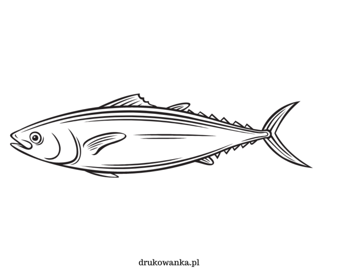 Makrele Meeresfisch Malbuch zum Ausdrucken