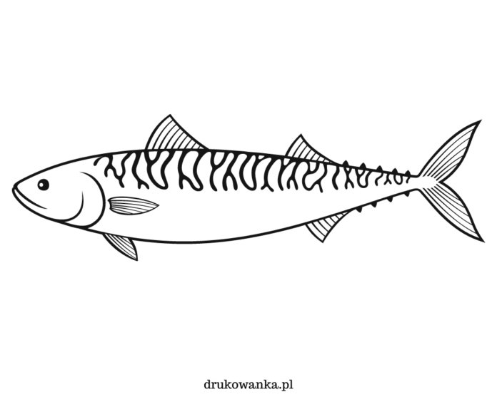 Makrele mit langem Schwanz Malbuch zum Ausdrucken