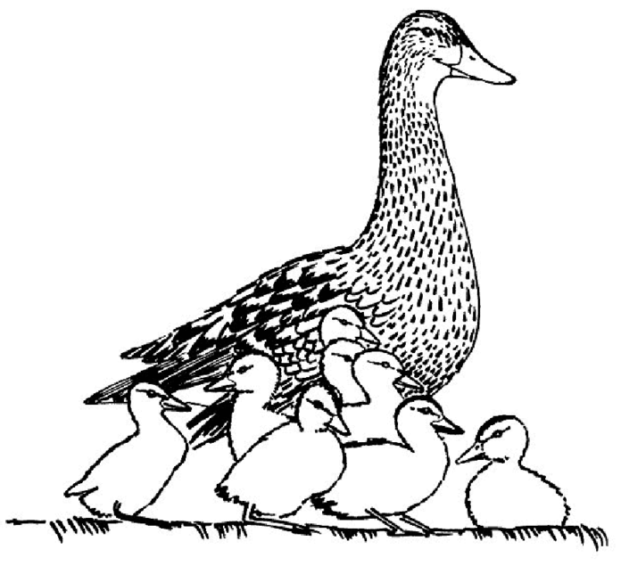 mama goose with baby goose coloring book printable