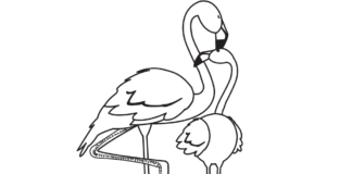 mom with baby flamingo coloring book to print