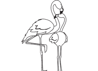 mom with baby flamingo coloring book to print