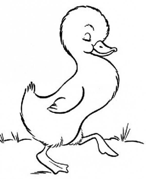 cute little goose coloring book to print