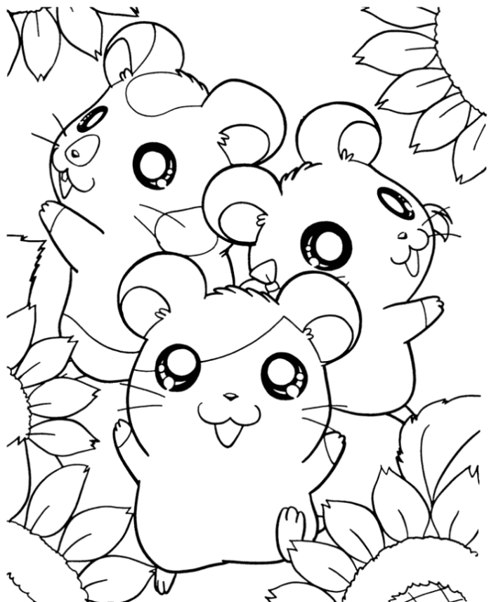 little hamsters coloring book to print
