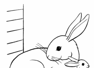 lilla kanin målarbok att skriva ut