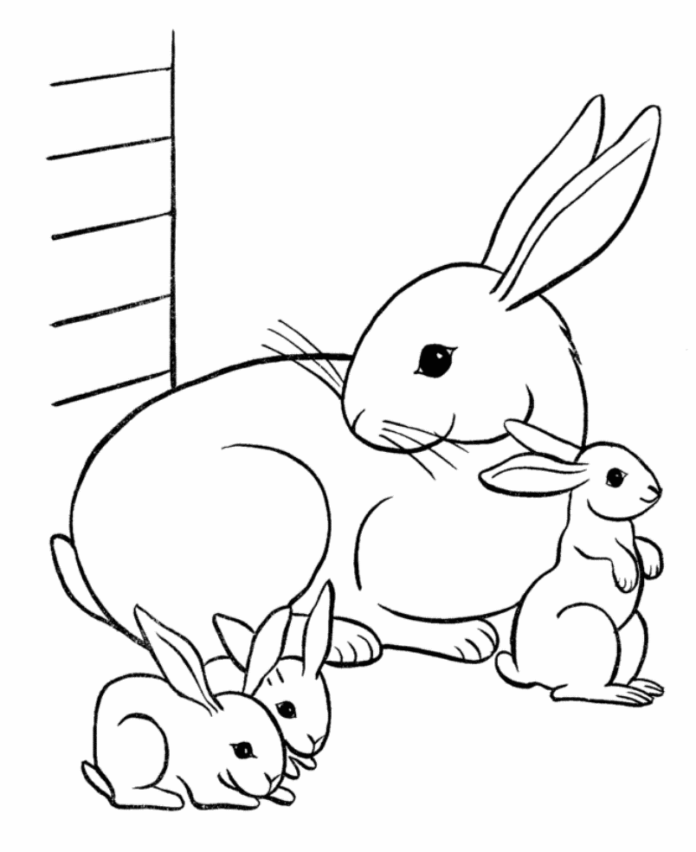 little rabbits coloring book to print