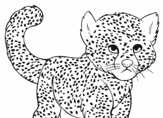 liten gepard katt målarbok att skriva ut