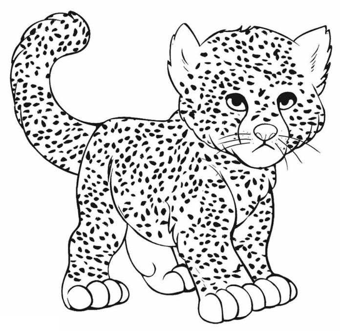 pieni gepardi kissa värityskirja tulostettava