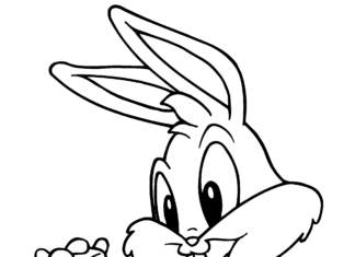kleine Käfer Kaninchen Malbuch zum Ausdrucken