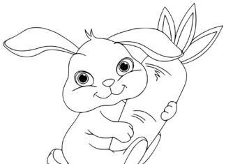 little rabbit with carrots coloring book to print