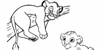 livre de coloriage "petit lion sur une branche" à imprimer