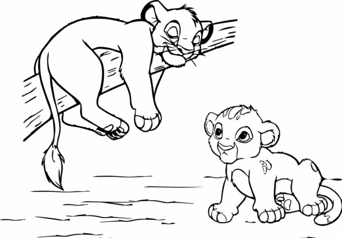 livre de coloriage "petit lion sur une branche" à imprimer