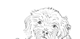 little dog in a basket coloring book to print