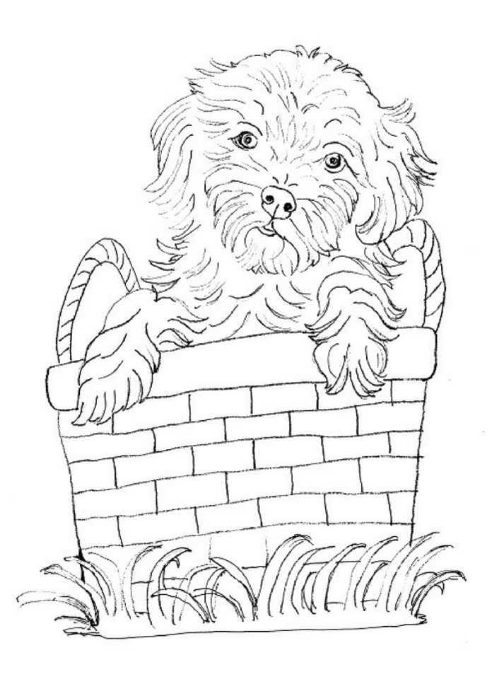 little dog in a basket coloring book to print