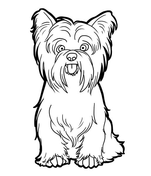little yorkie dog coloring book to print