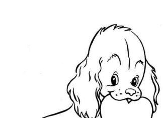 little dog with a heart coloring book to print