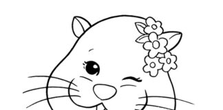 cute little hamster coloring book to print
