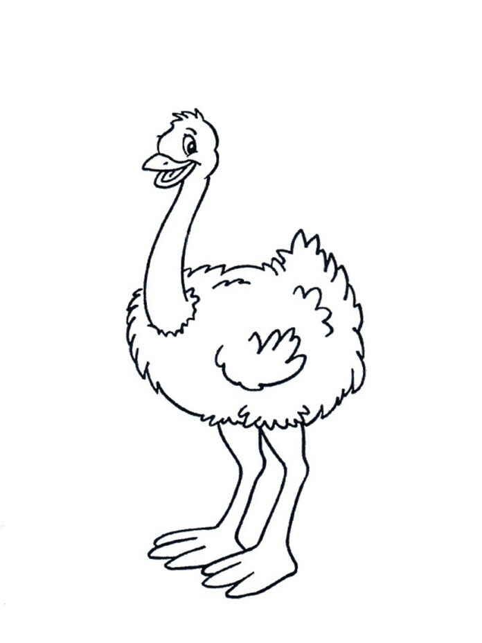 pequeno livro de colorido de avestruzes imprimível