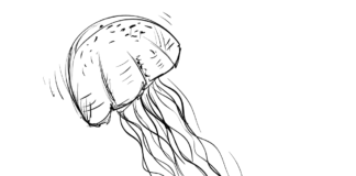 medúzy plavat pod vodou omalovánky k vytisknutí