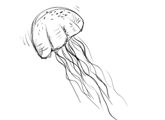 medusa nadando bajo el agua hoja para colorear para imprimir