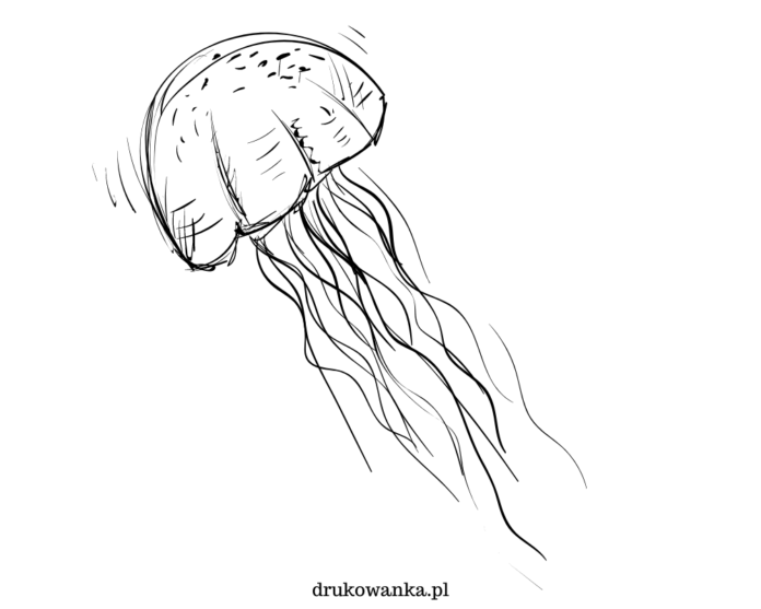 medusa che nuota sotto l'acqua foglio da colorare per la stampa
