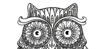 libro para colorear mega big owl para imprimir